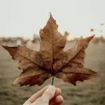 30 Minute Complimentary Consultation