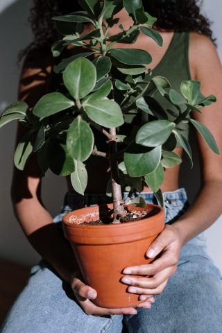pexels-cottonbro-studio-4505447